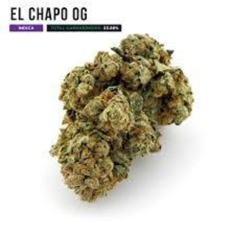 El Chapo OG [Top Shelf]
