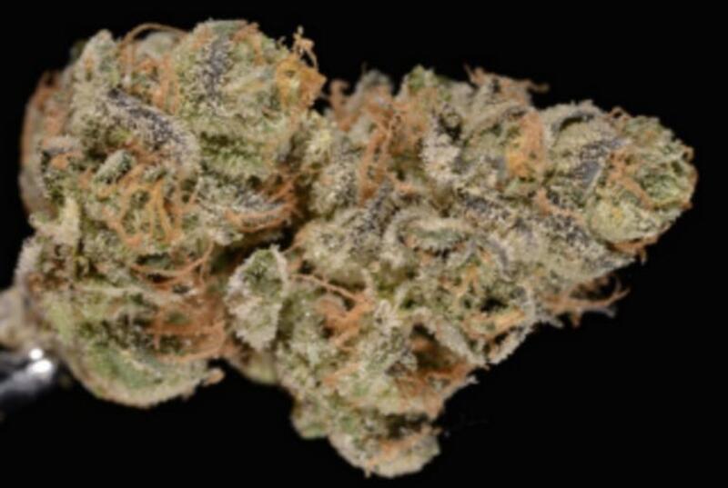 Girl Scout cookie