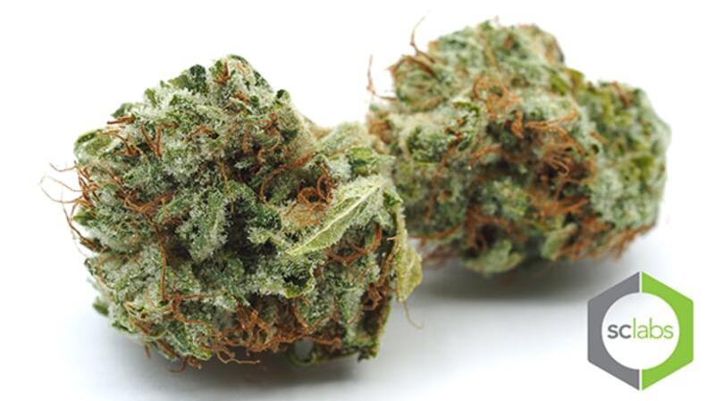 EXCLUSIVE ➣ BRUCE BANNER [5G @ 55]
