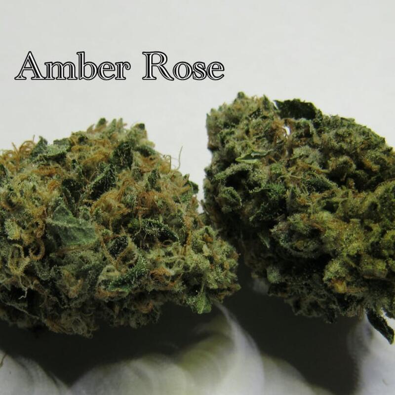 (PRIVATE RESERVE)AMBER ROSE