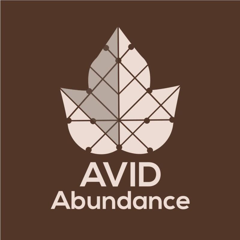 Avid Abundance Dark Chocolate Bar THC 120mg