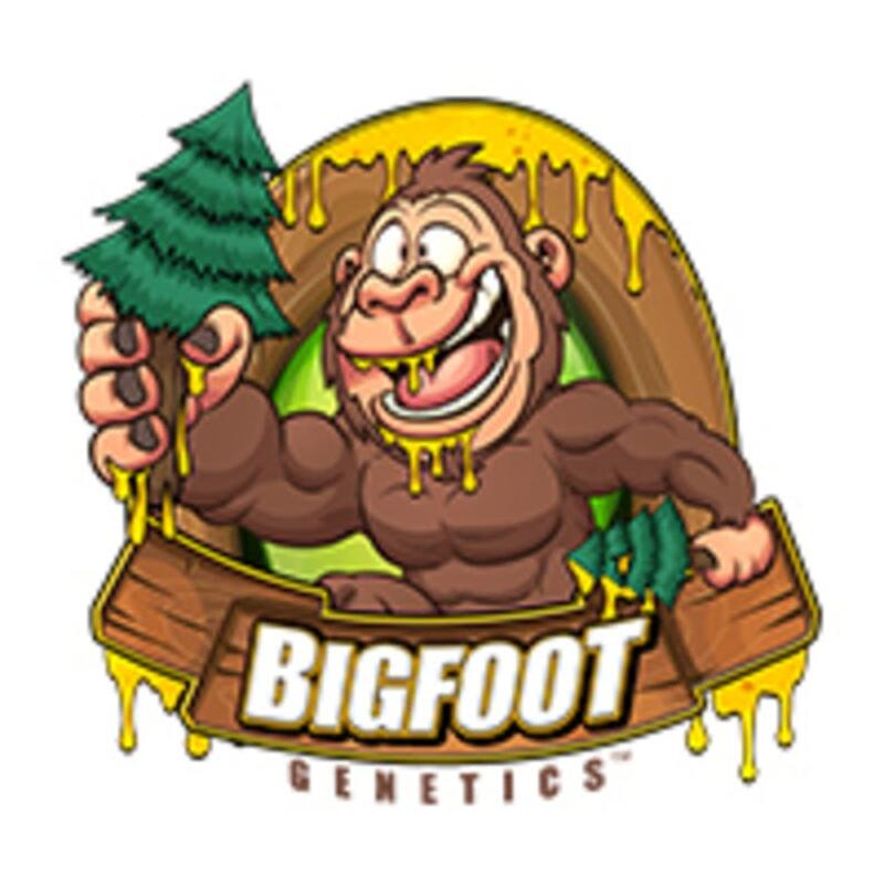 Bigfoot Genetics Live Resin
