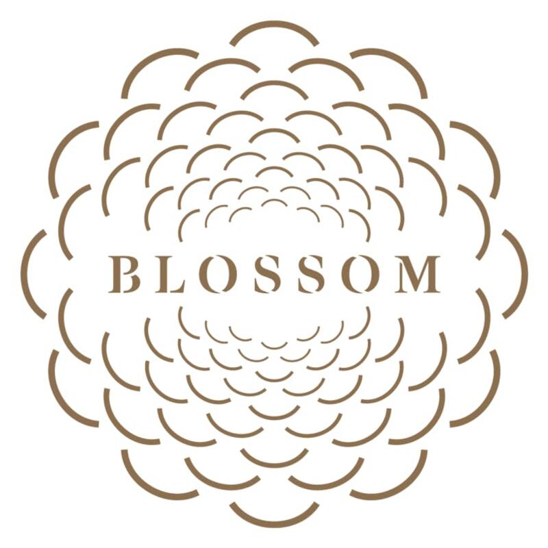 Blossom Organic Swiss Beeswax CBD Balm