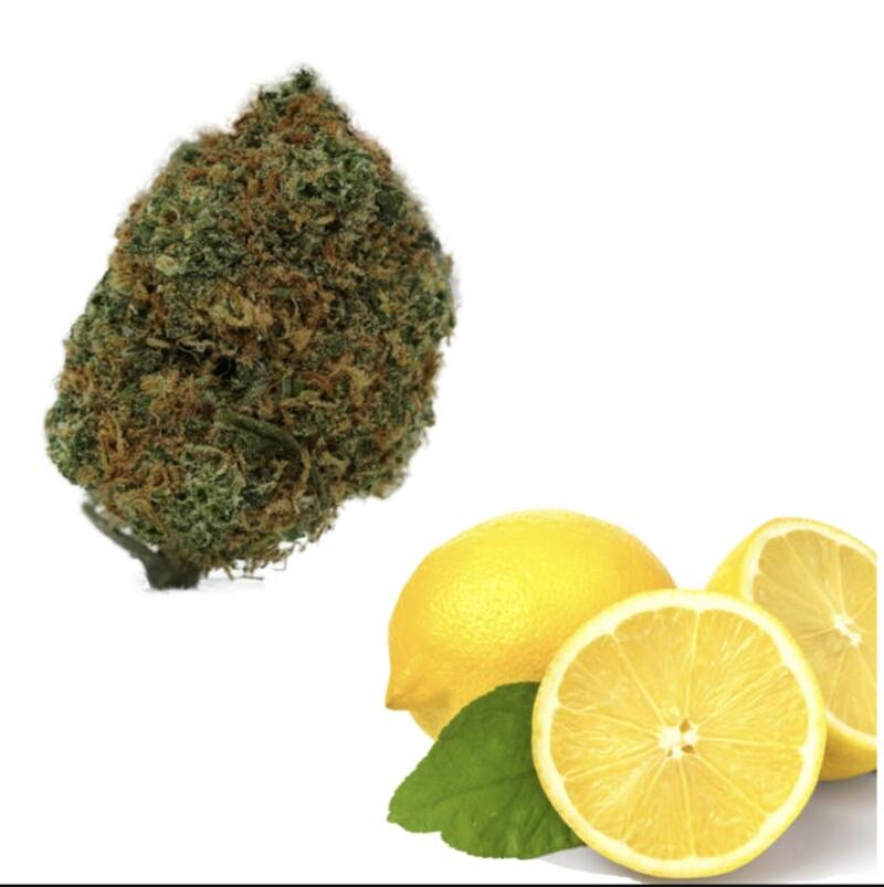 Lucky Lemon 7 (23% THC)