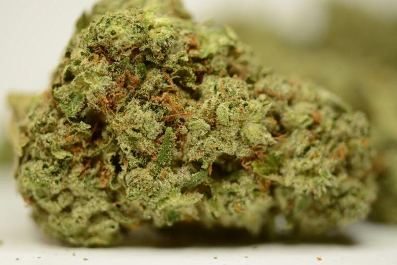 (AAAA+) Jack Herer SOLD OUT