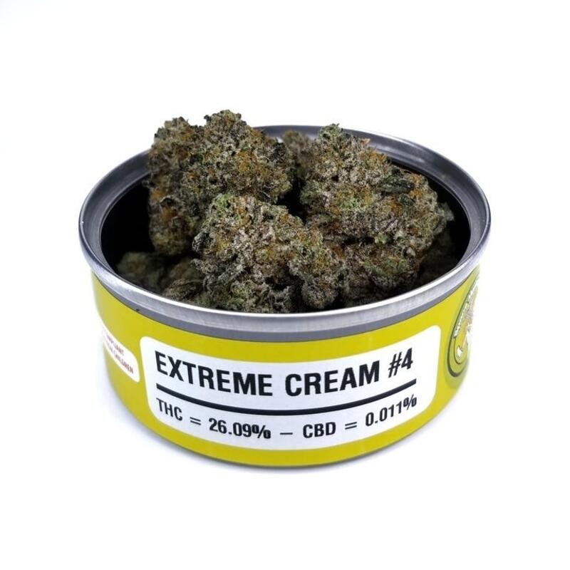 Extreme Cream #4