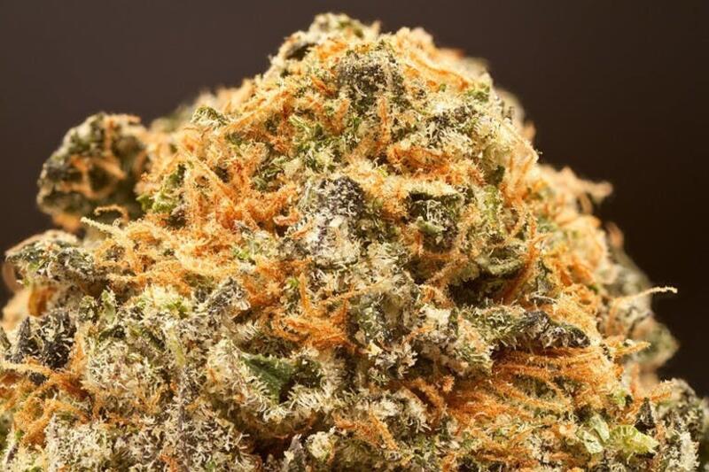 Girl Scout Cookie