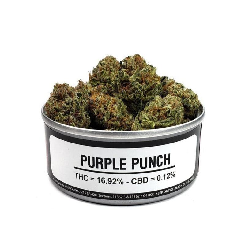**$30/4g SPECIAL** Purple Punch (Greenhouse)