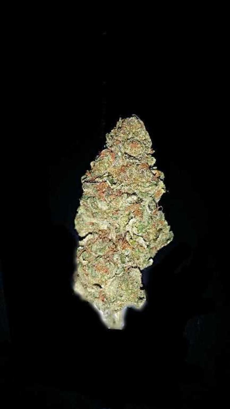Girl Scout Cookies