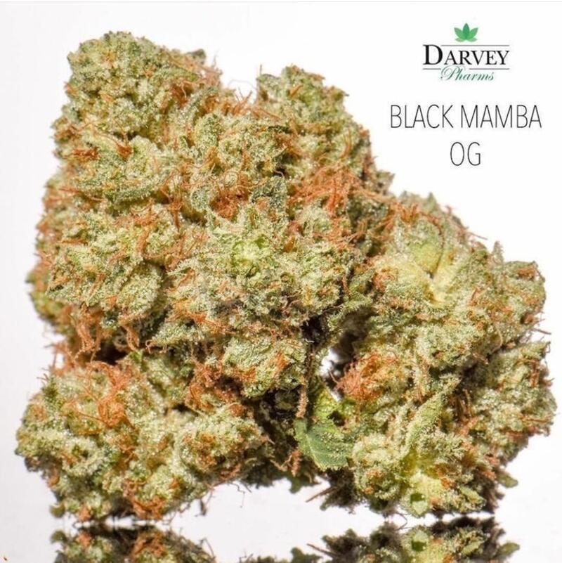 Black Mamba OG by Darvey Pharms
