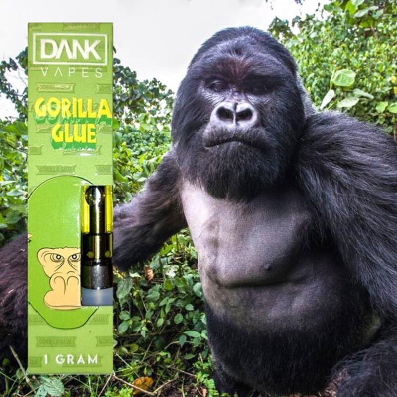 DankVapes Gorilla Glue 4for$105 / 6for$150 (89.34%THC)