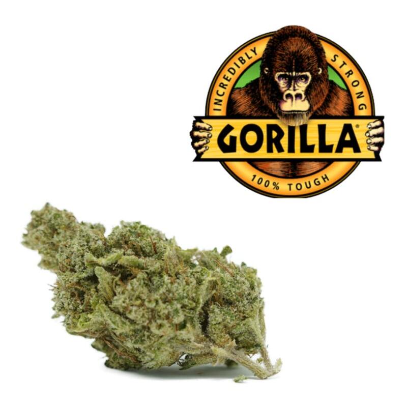 Gorilla Glue #4 21.8%