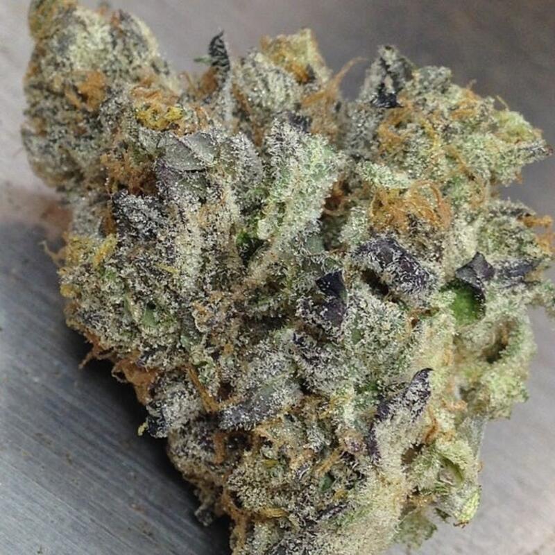 Girl Scout Cookies GSC (10) Available