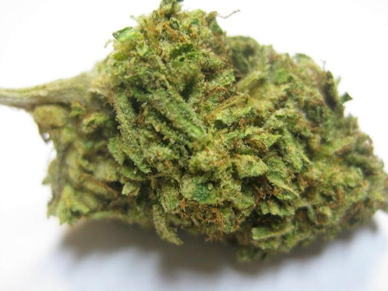 SOUR COOKIES **NEW**