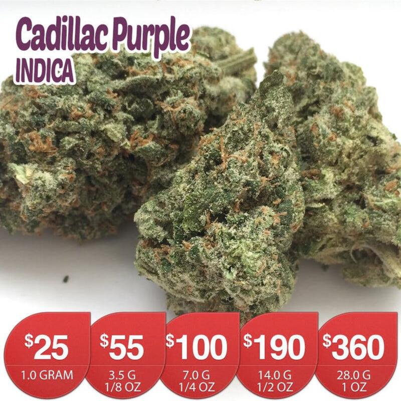 Cadillac Purple