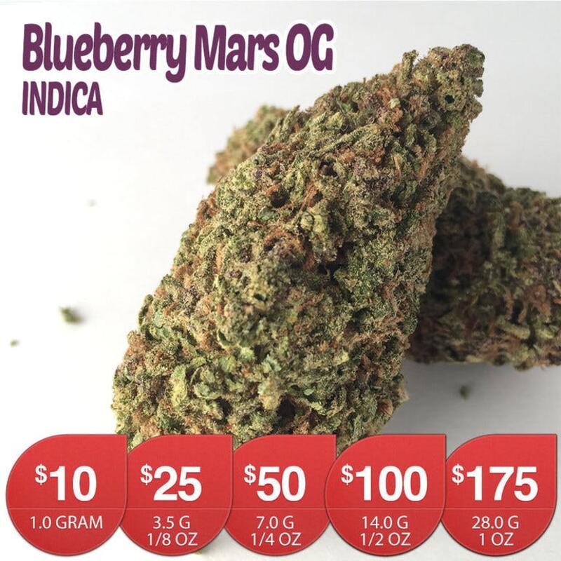 Blueberry Mars OG - BUDGET BUY