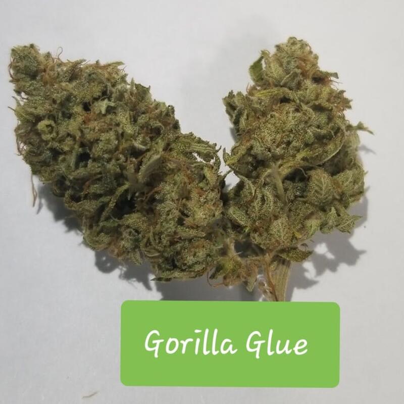 Gorilla Glue - Indica Hybrid