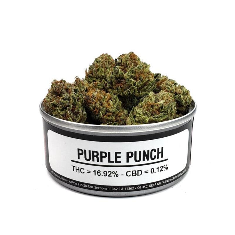 **$25/4g SPECIAL** Purple Punch (Greenhouse)