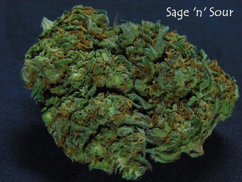 Sage &amp; Sour