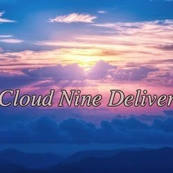 Cloud Nine Delivery - Burbank