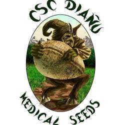 CSC Diañu Seeds