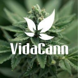 VidaCann - Fort Lauderdale (Coming Soon)